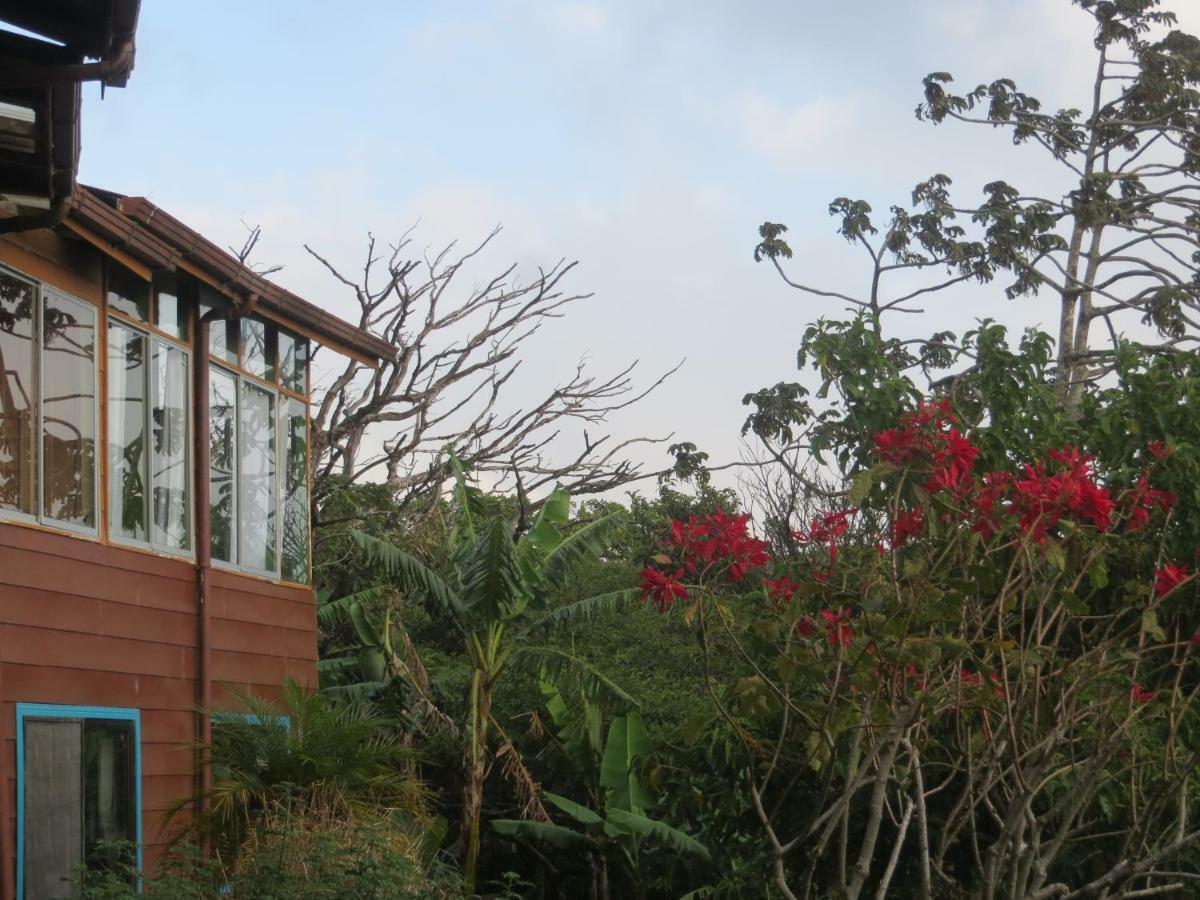 Artesana * Monteverde